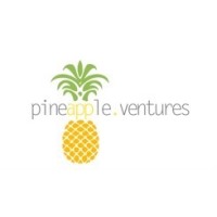 Pineapple Ventures Llc