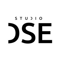 Studio DSE logo - Similar company to White Tree Localization