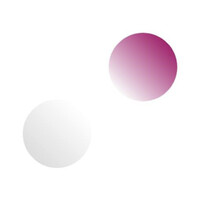 Connexa logo - Similar company to Stackkaroo