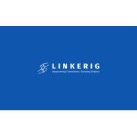 LinkeRig logo - Similar company to Vertron Systems