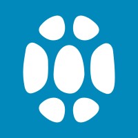 Turtle Down Under logo - Similar company to Formiqstudio