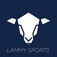 Lammy Sports Ltd logo - Similar company to Ibsons (Private) Limited