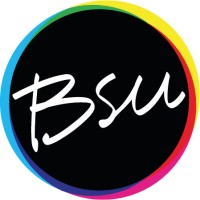 BSU logo - Similar company to Kpn Partner Network