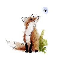 Red Fox Films logo - Similar company to Closer Productions Pty Ltd