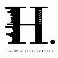 HAASSO logo - Similar company to Hectae