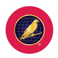Hawkish Institutes logo - Similar company to Crystal Skill-Hub