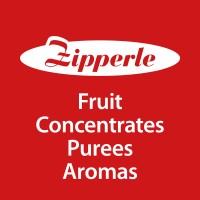 Hans Zipperle AG logo - Similar company to Iprona Group