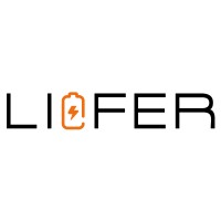 LioFer India logo - Similar company to Aghastya Electrotech Private Limited