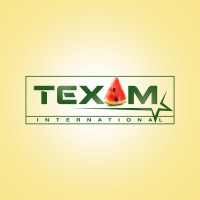 Texam International logo - Similar company to Heracles