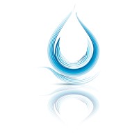 FinSolutions logo - Similar company to Finsolution