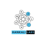 Hankali logo - Similar company to Grit Systems Engineering