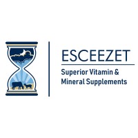 ESCEEZET (Pty) Ltd logo - Similar company to Nu3Enta (Pty) Ltd