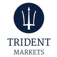 Trident Markets logo - Similar company to Trident Petroleum