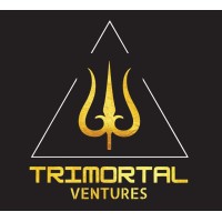 Trimortal Ventures LLP logo - Similar company to Zoom Computers