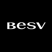 BESV Europe logo - Similar company to Darfon Electronics Corp. 達方電子