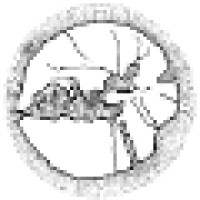 Gisterra Advies logo - Similar company to Regionaal Archief Alkmaar