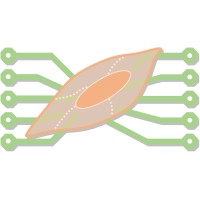 Cellsystemics | public-private partnership logo - Similar company to Advanced X-Ray Tomographic Imaging Lab