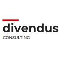 divendus consulting logo - Similar company to Divindus