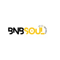 BnBSoul logo - Similar company to Coderswire