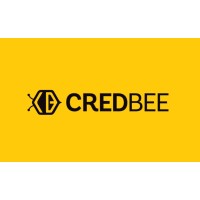 Credbee Research & Consulting Pvt Ltd. logo - Similar company to Human Link Research Solution
