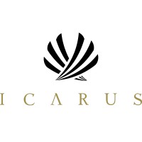 ICARUS GROUP logo - Similar company to Icarus Group