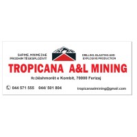 TROPICANA A&L MINING logo - Similar company to Diamcor Mining Inc (Dmi)