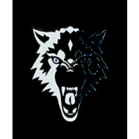 .DefenceWolf Cybersecurity & Intelligence logo - Similar company to Innosec - Innovative Secure Technologies