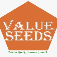 Value Seeds logo - Similar company to Esomchi Foundation