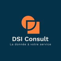 DSI Consult logo - Similar company to Vision.It