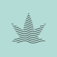 Medical Cannabis Network logo - Similar company to Cannabinoid Research & Development Global (Crdg) Network