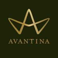 Avantina AB logo - Similar company to Love Wild Rivers Digital Marketing