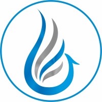 PHOENIX SPECIALITIES FZC logo - Similar company to Aïo Synt