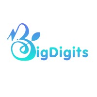 BigDigits Digital Solutions LLP logo - Similar company to Inarcles