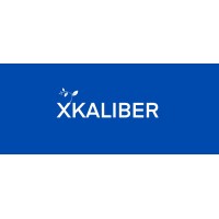 X Kaliber Consulting logo - Similar company to Strategized Consulting