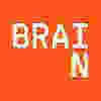 BRAIN logo - Similar company to Spak!
