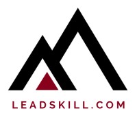 Leadskill logo - Similar company to Control Lines (Pty Ltd