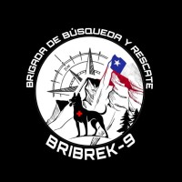 BRIBREK-9 CHILE logo - Similar company to Tuki Tickets