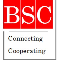 Boston StrategyCan Consulting logo - Similar company to Boston Strategy Group