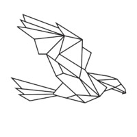 Social Eagle logo - Similar company to The Social Eagle