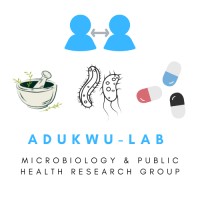 Adukwu Research Group logo - Similar company to Digitrans: Digital Transformations Research Platform At Södertörn University