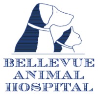 Bellevue Animal Hospital