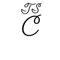 Ts Consulting