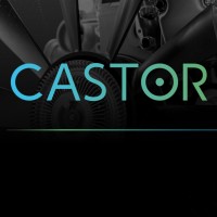 CASTOR logo - Similar company to B2.Ai