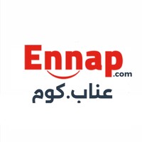 Ennap.com logo - Similar company to Bricksai