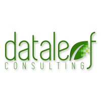 DataLeaf Consulting logo - Similar company to Satisfyd