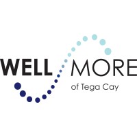 Wellmore of Tega Cay logo - Similar company to Camp Equity