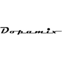 DOPAMIX logo - Similar company to Nouvellevegmagazine
