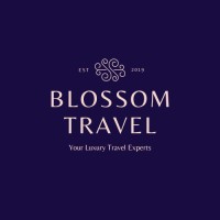 Blossom Travel logo - Similar company to Technodome