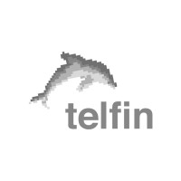telfin Mexico logo - Similar company to Telfin México
