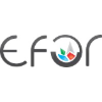 Efor Systems